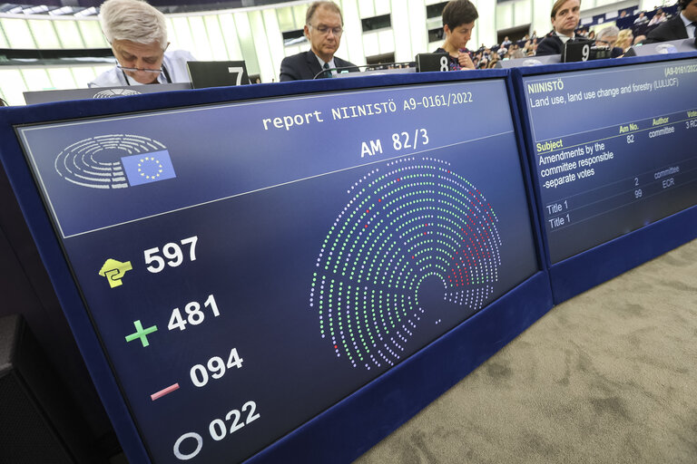 Foto 14: EP Plenary session  - Voting session