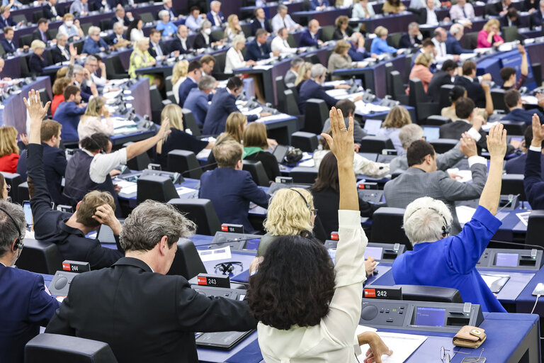 Fotografija 8: EP Plenary session  - Voting session