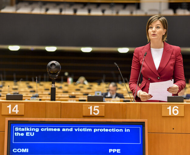 Fotografia 1: Plenary session' Stalking crimes and victim protection in the EU '