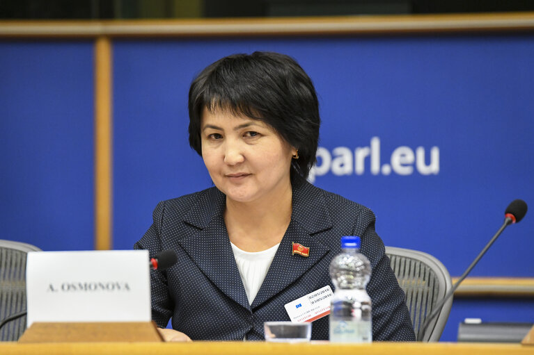 Fotografija 10: 13th EU-Kyrgyzstan Parliamentary Cooperation Committee