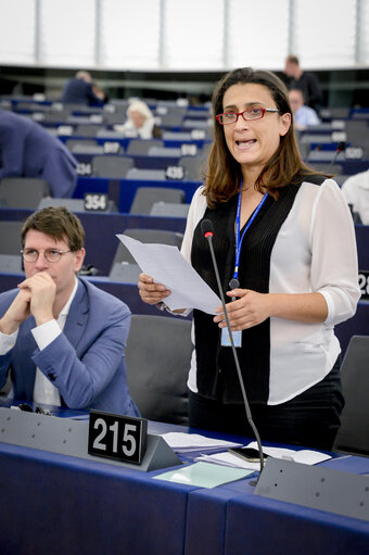 Fotogrāfija 26: Plenary session - Votes and explanations of votes