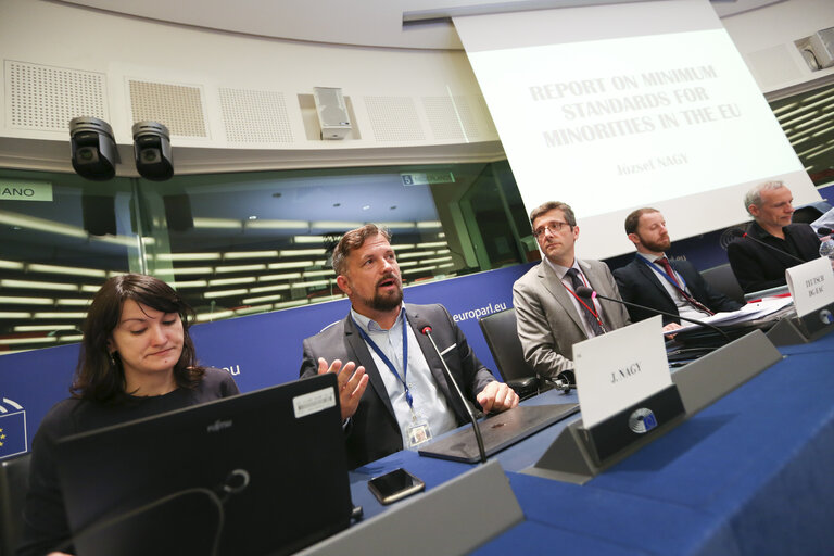 Foto 14: Meeting of the Minority Intergroup - Report on minimum standards for minorities in the EU