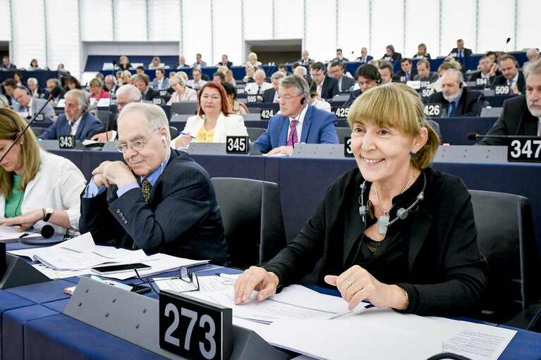 Fotografia 4: Monica MACOVEI in the EP in Strasbourg