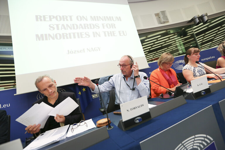 Meeting of the Minority Intergroup - Report on minimum standards for minorities in the EU