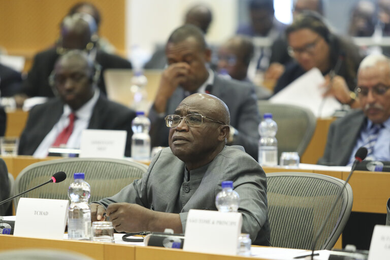 Photo 37 : 35th session of the ACP-EU Joint Parliamentary Assembly. POL Committee