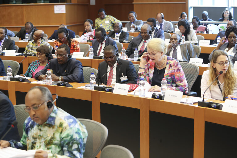 Photo 47 : 35th session of the ACP-EU Joint Parliamentary Assembly. SOC Committee