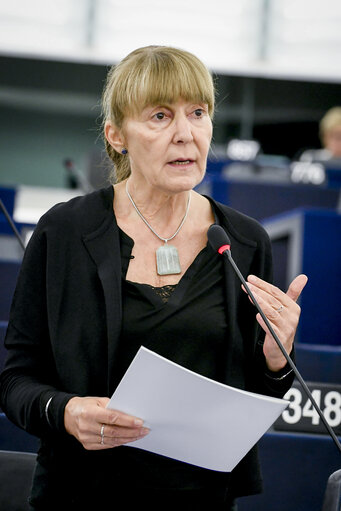 Monica MACOVEI in the EP in Strasbourg