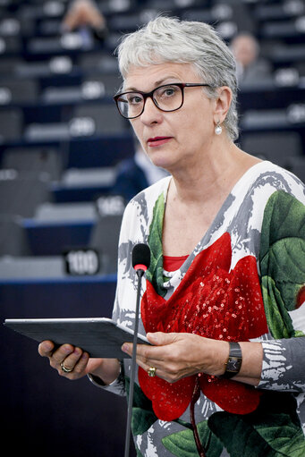 EP Plenary session - Presentation of the annual report on human rights and democracy in the world 2017 and the EU's policy on the matter - Statement by the Vice-President of the Commission/High Representative of the Union for Foreign Affairs and Security Policy