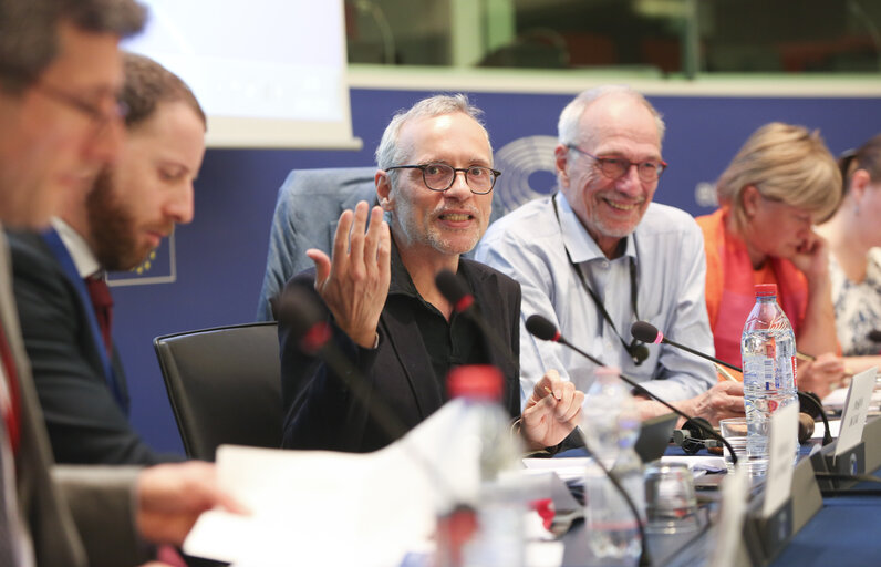 Foto 3: Meeting of the Minority Intergroup - Report on minimum standards for minorities in the EU