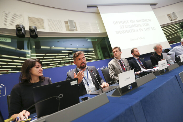 Foto 15: Meeting of the Minority Intergroup - Report on minimum standards for minorities in the EU