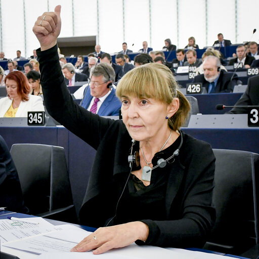 Fotografia 5: Monica MACOVEI in the EP in Strasbourg