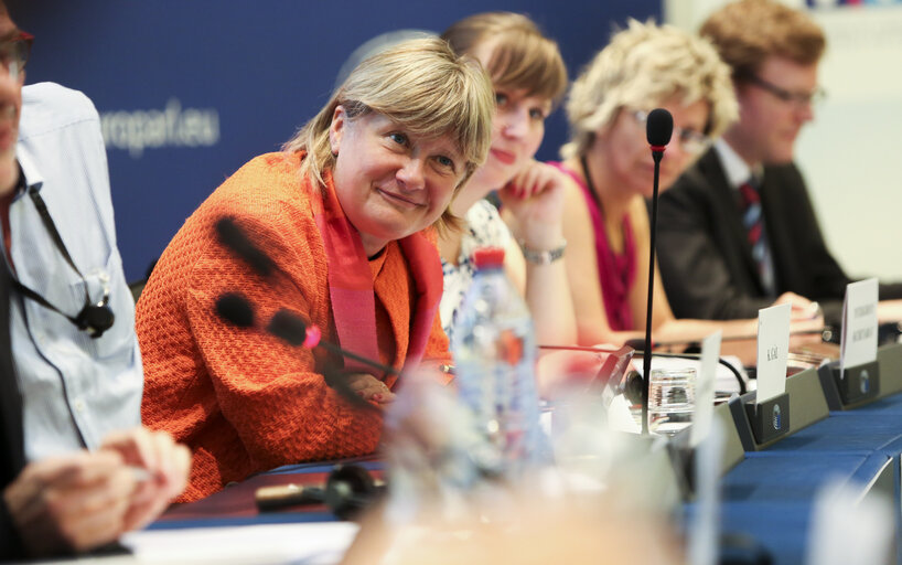 Meeting of the Minority Intergroup - Report on minimum standards for minorities in the EU