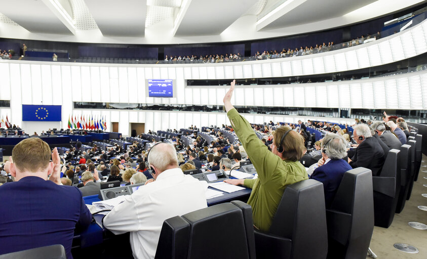 Photo 17: Plenary session - Votes followed by explanations of votes