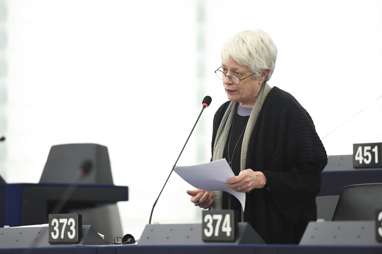 Photo 13 : Plenary session - A European values instrument to support civil society organisations which promote democracy, rule of law and fundamental values within the European Union Commission statement