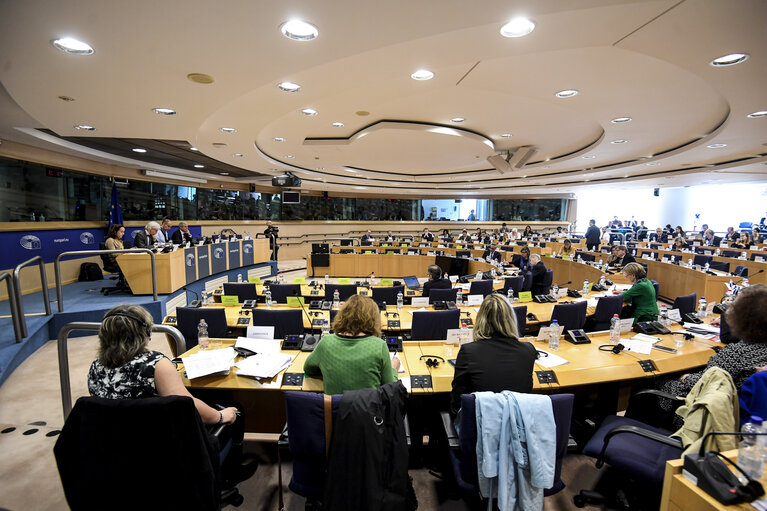 Photo 1: AFCO committee meeting. The withdrawal of the United Kingdom from the European Union (Article 50 TEU). Brexit: Exchange of views with the Parliament's coordinator for the negotiations on the UK withdrawal from the EU
