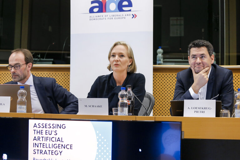 Photo 30 : Roundtable discussion - ' Assessing the EU's Artificial Intelligence Strategy '