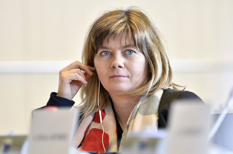 Photo 15: TRAN hearing - The impact of Brexit on tourism