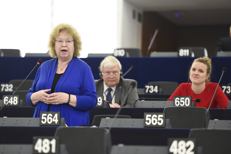 Photo 14 : Plenary session - A European values instrument to support civil society organisations which promote democracy, rule of law and fundamental values within the European Union Commission statement