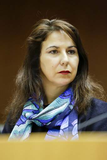 High Level Conference. Shaping our digital future: the challenge of the digital revolution.