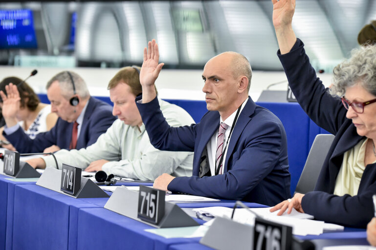 Fotogrāfija 1: Razvan POPA in the EP in Strasbourg