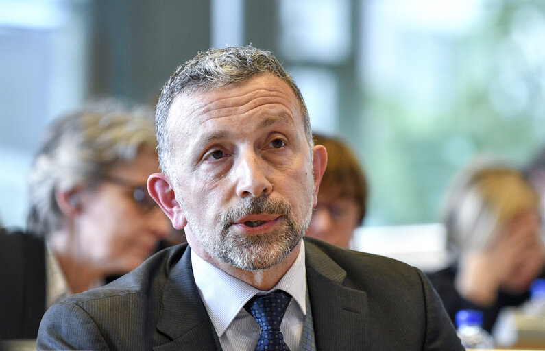 Photo 18: TRAN hearing - The impact of Brexit on tourism