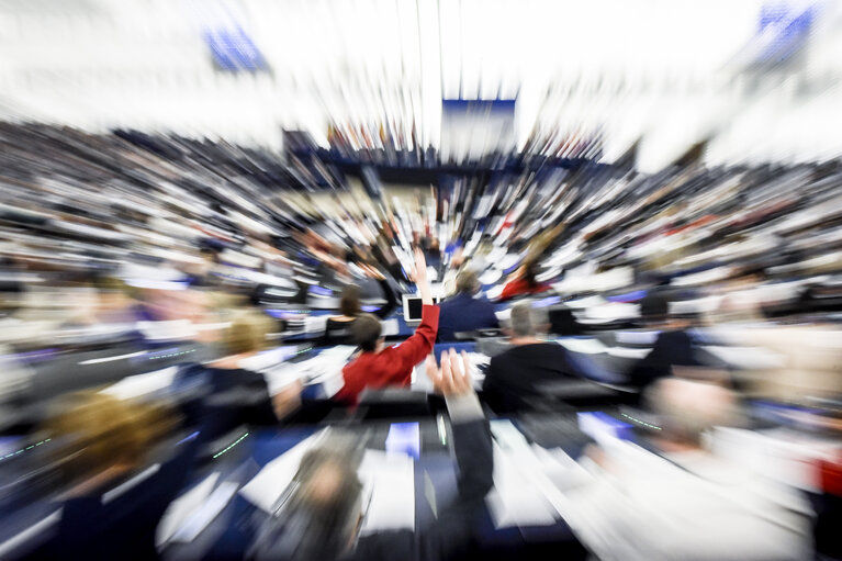 Photo 14: Plenary session - Votes followed by explanations of votes