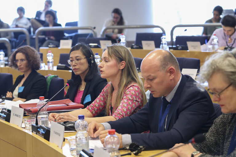 Foto 4: JURI committee meeting. hearing on the Hague Judgments project