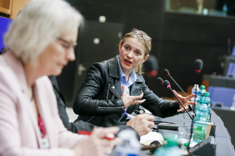 Foto 1: Paneuropean Working group of the EPP group -  Debate about Brexit