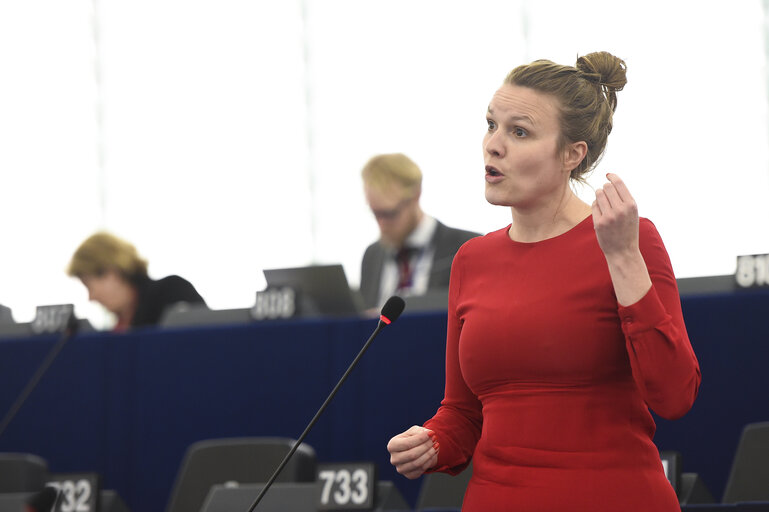 Photo 6 : Plenary session - A European values instrument to support civil society organisations which promote democracy, rule of law and fundamental values within the European Union Commission statement