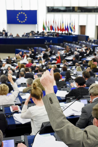 Photo 16: Plenary session - Votes followed by explanations of votes