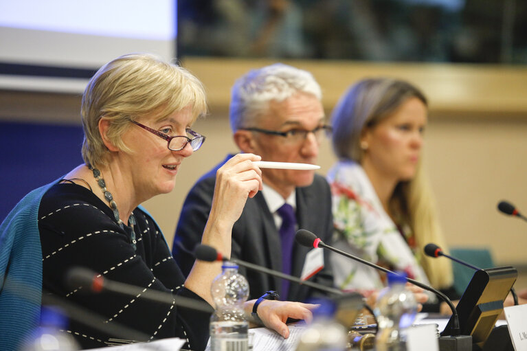 Foto 6: Committe on Development - ' Why the humanitarian system is an effective system '