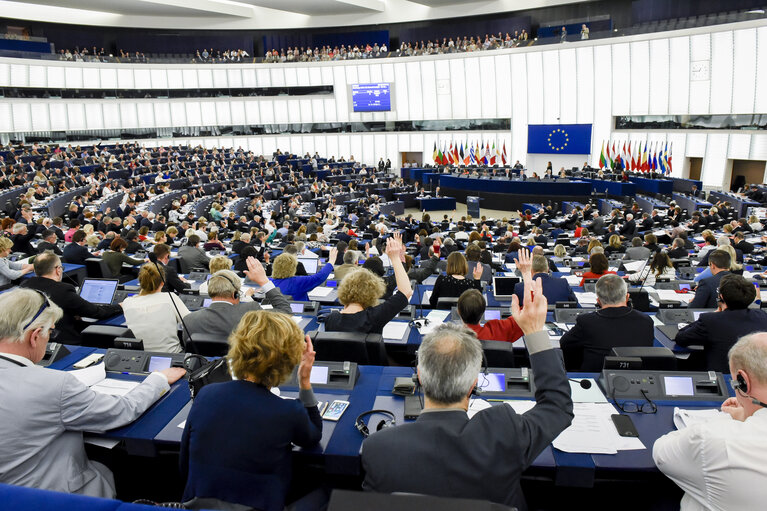 Photo 18: Plenary session - Votes followed by explanations of votes