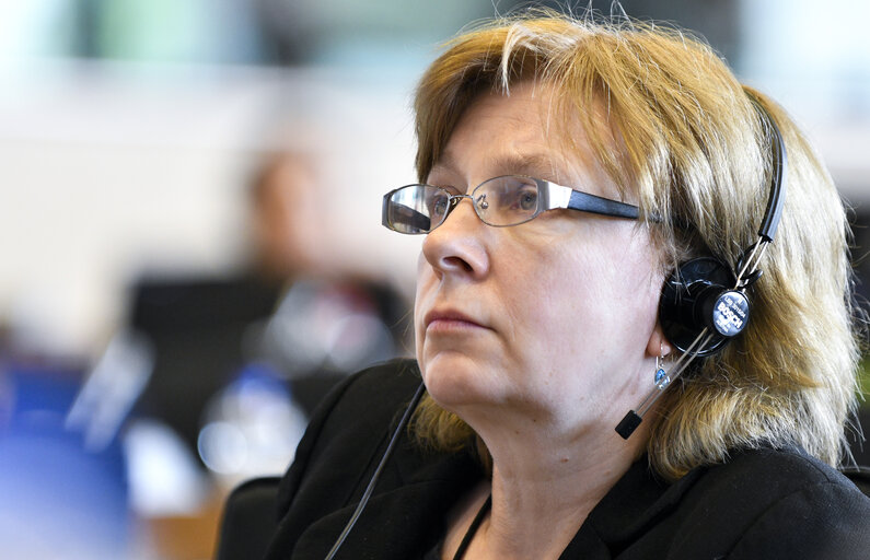 Photo 14: TRAN hearing - The impact of Brexit on tourism