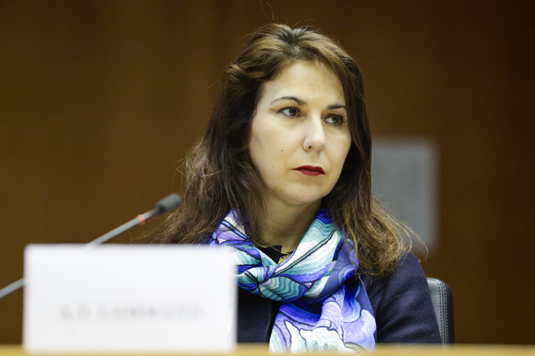 High Level Conference. Shaping our digital future: the challenge of the digital revolution.