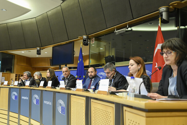 77th EU-Turkey JPC - Meeting