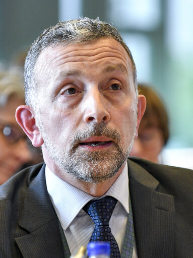 Photo 19: TRAN hearing - The impact of Brexit on tourism