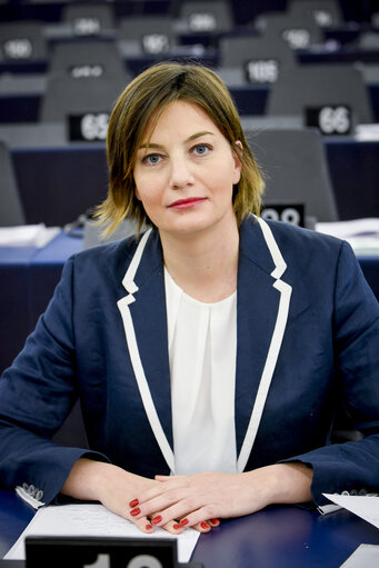 Fotografi 2: Plenary session - Implementation of the European Protection Order Directive