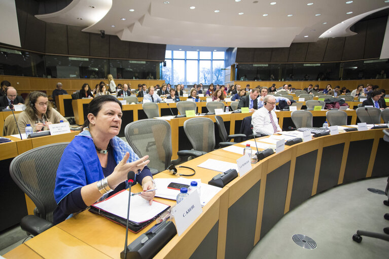 Fotografie 9: REGI Committee meeting - Exchange of views with the Commissioner in charge of Regional Policy