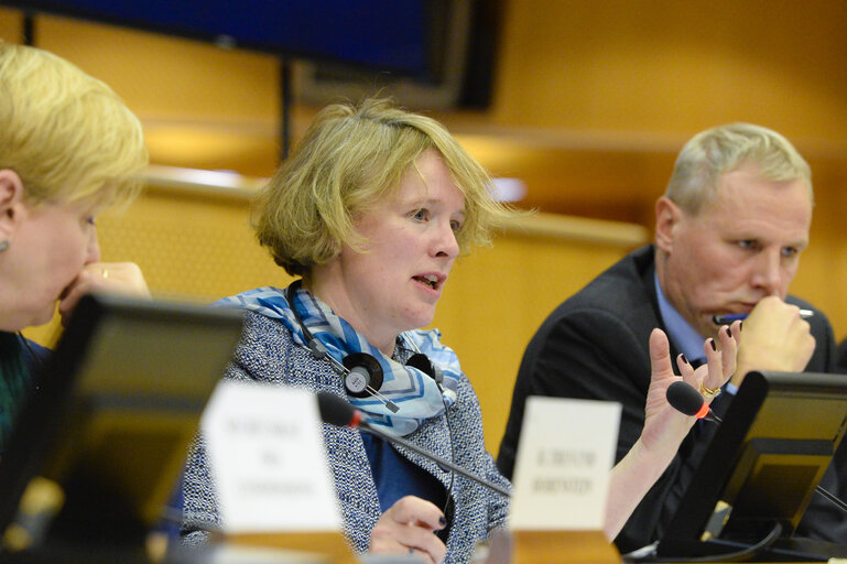 IMCO working group on the Digital Single Market