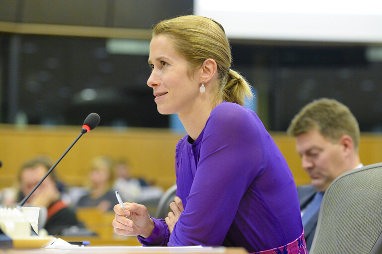 IMCO working group on the Digital Single Market