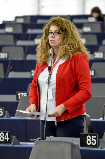 Fotografie 10: Plenary session week 51 2015 in Strasbourg - Preparation of the European Council meeting of 17 and 18 December 2015  Council and Commission statements