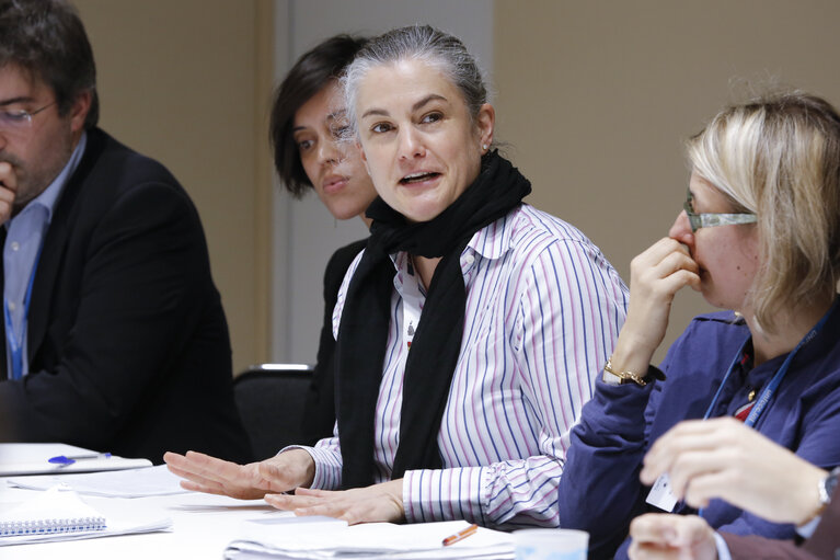 EP Delegation to COP 21 - UN Climate Change conference in Paris