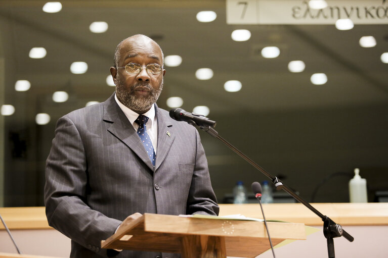 Fotografie 9: 30th Session of the ACP-EU Joint Parliamentary Assembly. Formal opening sitting