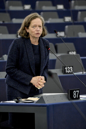 Fotografie 21: Plenary session week 51 2015 in Strasbourg - Preparation of the European Council meeting of 17 and 18 December 2015  Council and Commission statements