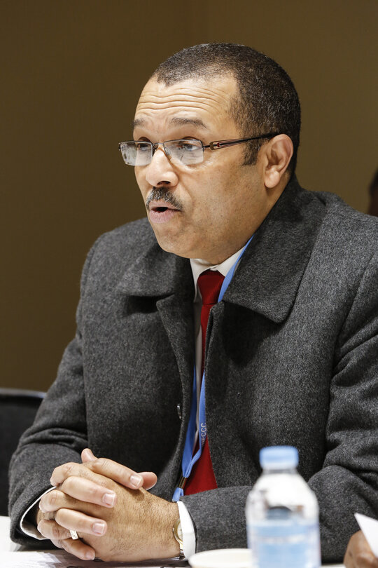 Photo 6: EP Delegation to COP21 - UN Climate Change Conference in Paris. Meeting with Members of the South African Parliament