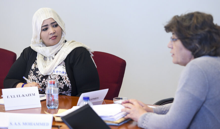 Zdjęcie 7: Meeting with Young Political Leaders from Sudan