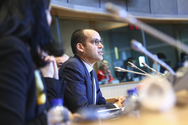 Photo 3: AFET committee meeting.  Exchange of views with Yassine BRAHIM - Minister for Investmen and International Cooperation and development of Tunisia.