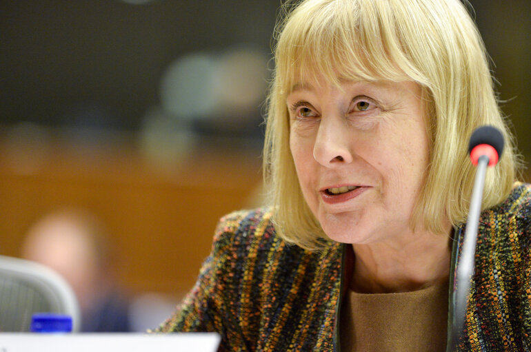 Foto 1: JURI - Presentation of the reform of the European copyright framework and the proposal for a regulation of the European Parliament and of the Council on cross-border portability of online content services