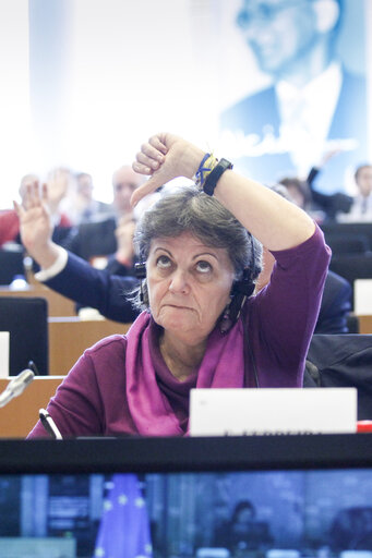 Photo 15: ECON/BUDG Joint Committee Meeting - vote on the Juncker investment plan