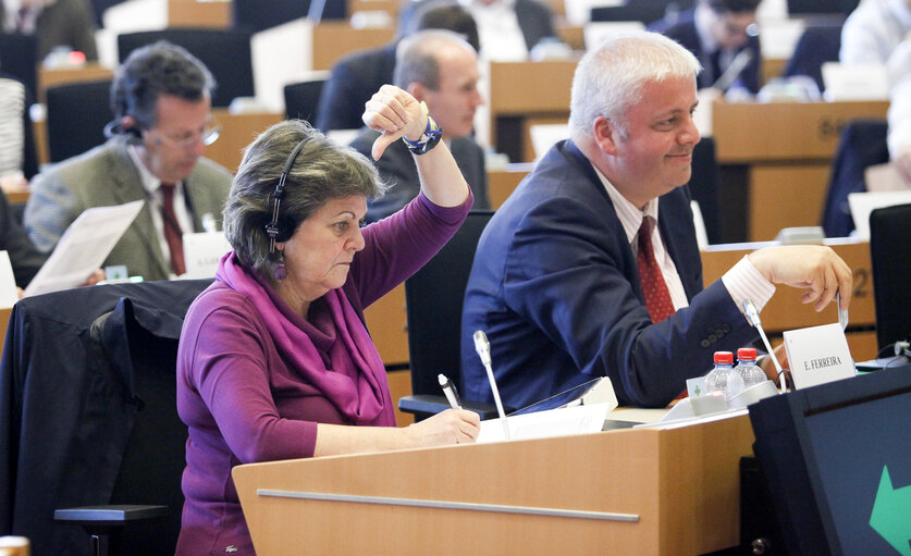 Photo 14: ECON/BUDG Joint Committee Meeting - vote on the Juncker investment plan